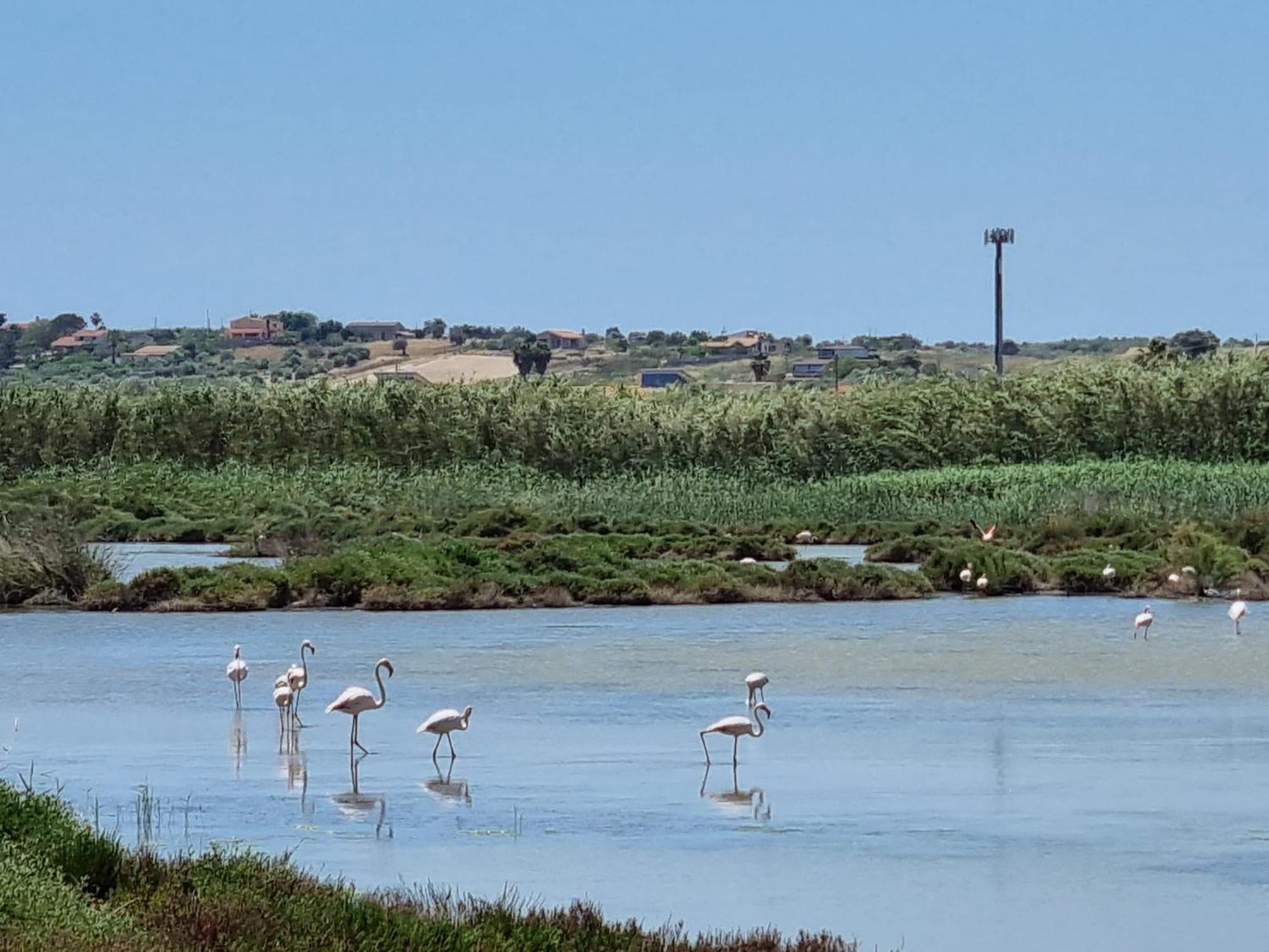 -Dimartino Home- Posizione Centrale 9 Min Da Marzamemi San Lorenzo Portopalo Di Capo Passero Pachino Exteriér fotografie